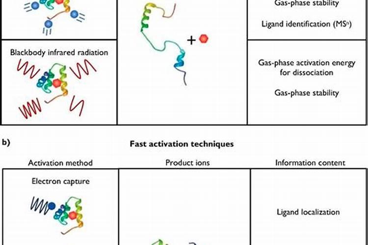 怎样发酵黄豆水肥