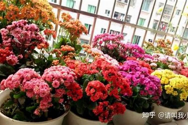 腐殖酸和腐植酸有什么不同