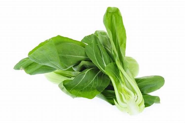 大白菜的肥料需求大,大白菜要增施钾肥吗？