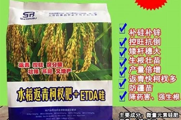 水稻亩用多少复合肥和尿素,返青肥用什么肥料好