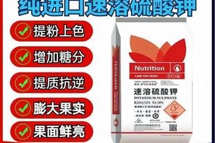 硫酸钾能冲施吗
