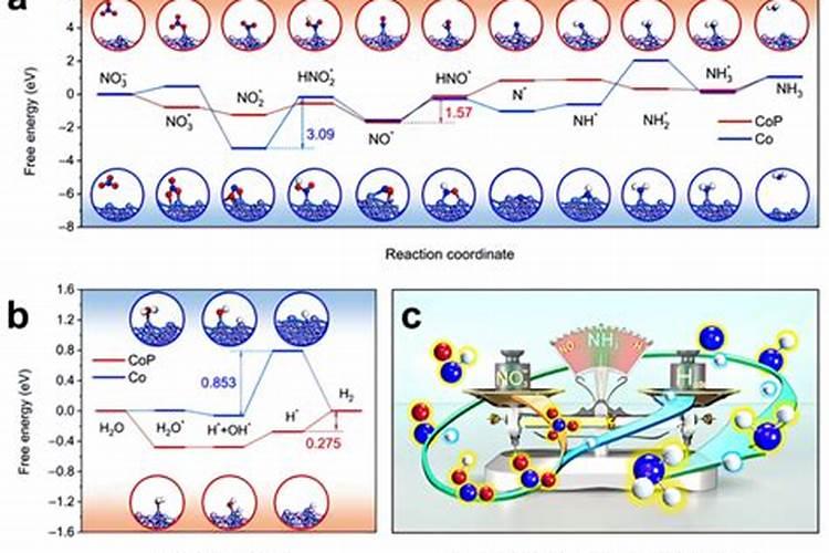 甲醛测铵盐氮量公式是什么？
