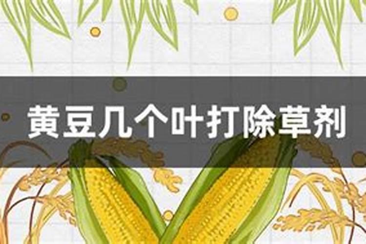 黄豆被水淹了叶子发黄了该怎么办