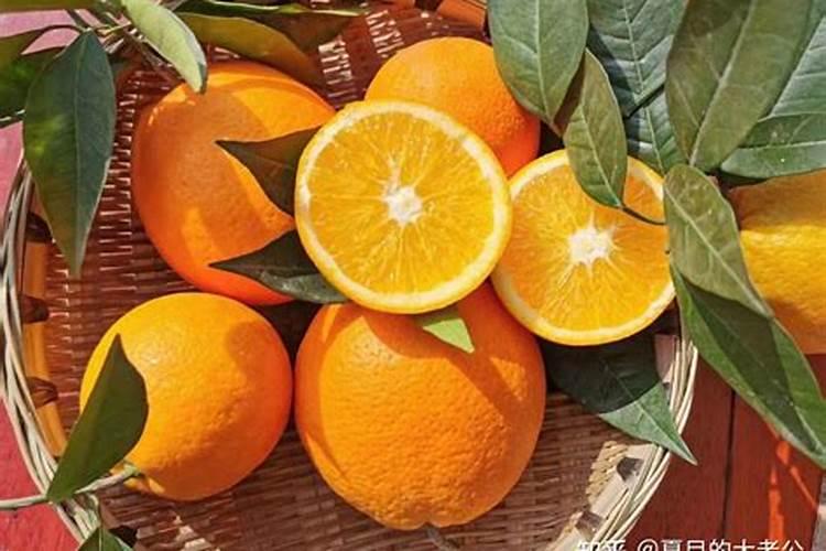 冬季脐橙留树保鲜要如何防冻？您知道吗？