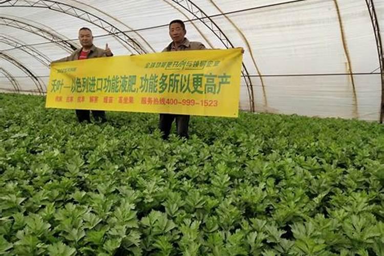 氯化钾肥料适合种什么