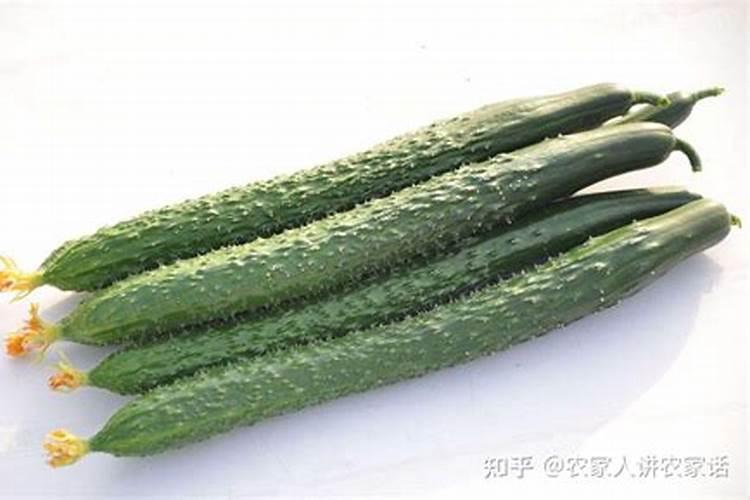 黄瓜施肥,氮磷钾的比例多少最合适,一亩地各应该含多少氮磷钾
