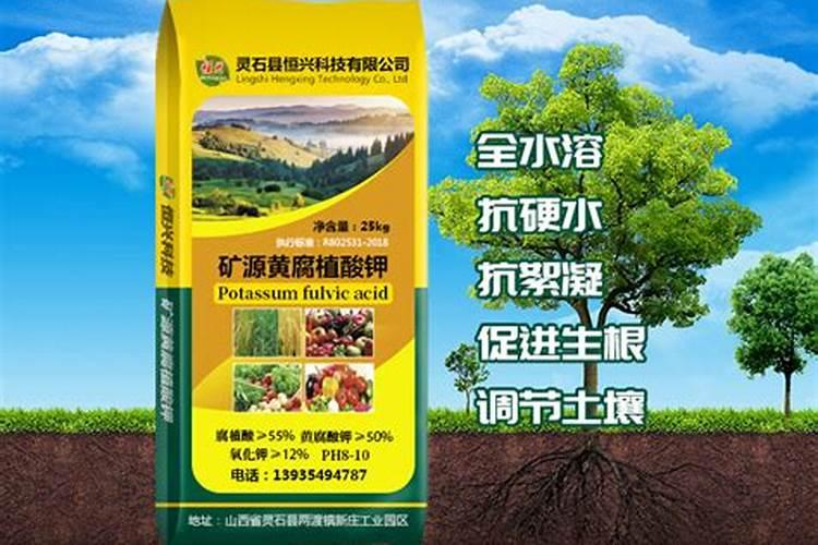 地瓜肥料正确使用方法