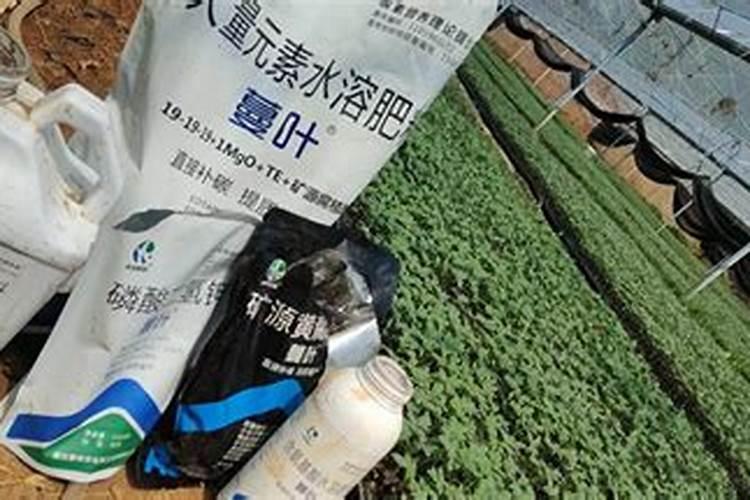 如何辨别水溶肥的好坏