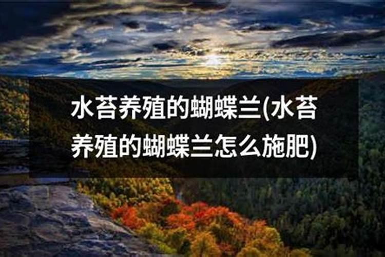 冬天蝴蝶兰怎么浇水,怎么保暖