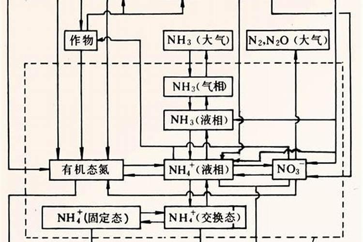 氮肥损失途径有哪些？怎样减少氮素损失？