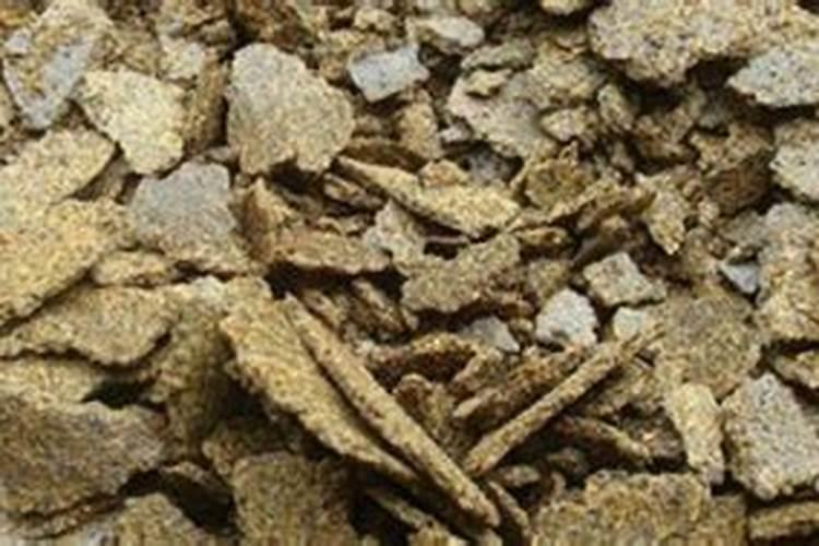 菜籽饼能不发酵拌土直接做基肥吗