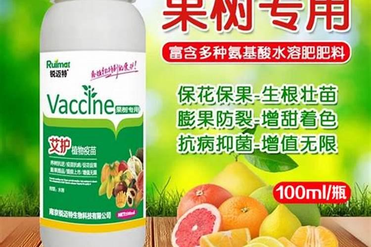2年樱桃树施多少肥合适