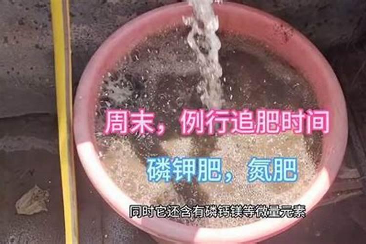 蔬菜为什么喜欢钾肥