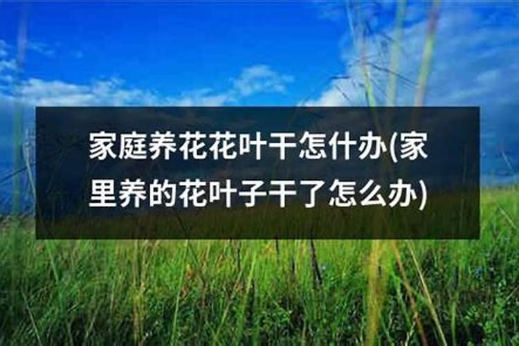 家里养的金桔,换了一次土,叶子都开始蔫巴了,耷拉了。不知道什么原因,请...