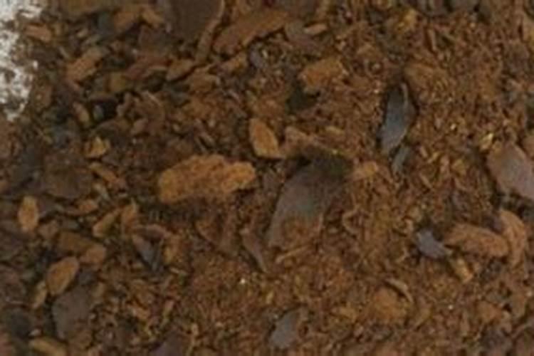 李子能不能大棚种植？