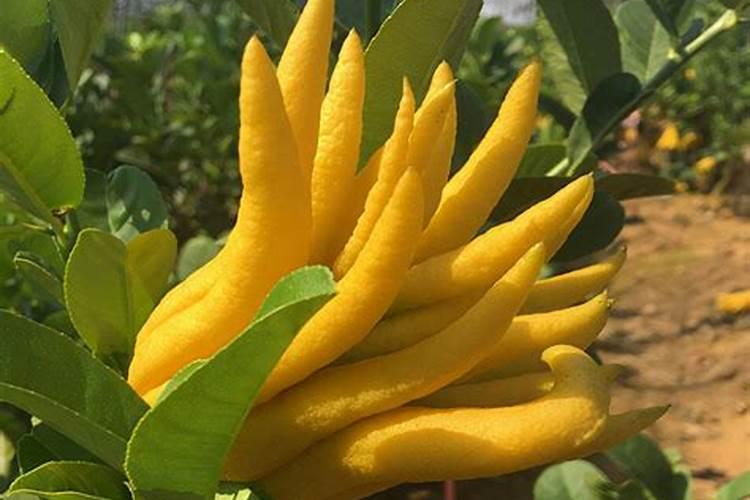 衢州市市政金奖示范工程(优质工程)申报材料介绍？