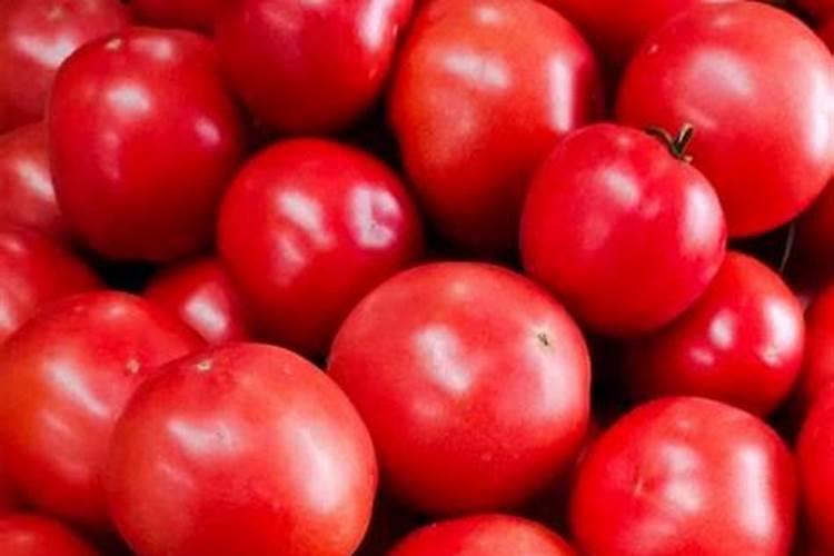 小麦上喷施硼肥有什么好处？拔节孕穗期喷几次,才能籽粒饱满能增产？