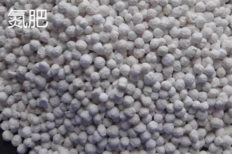 什么是鱼蛋白肥料,鱼蛋白肥料作用及使用方法
