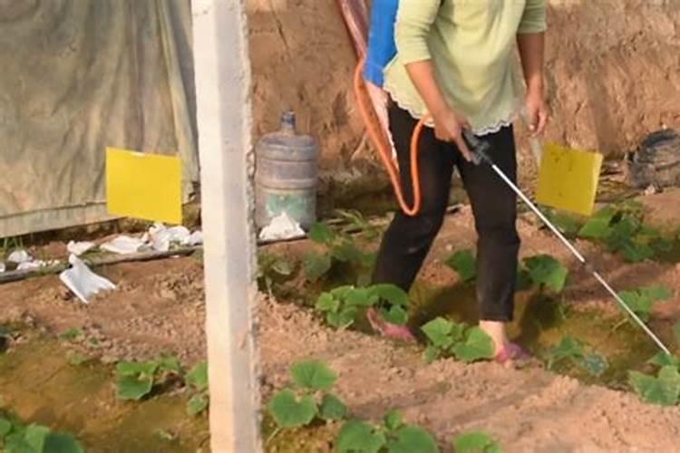 氮离子、磷离子、钾离子肥料“三要素”