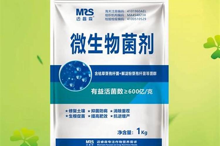 怎么提高水溶肥发酵速度