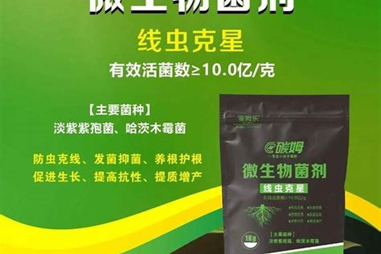 微生物菌肥在生产中应用注意事项有哪些？