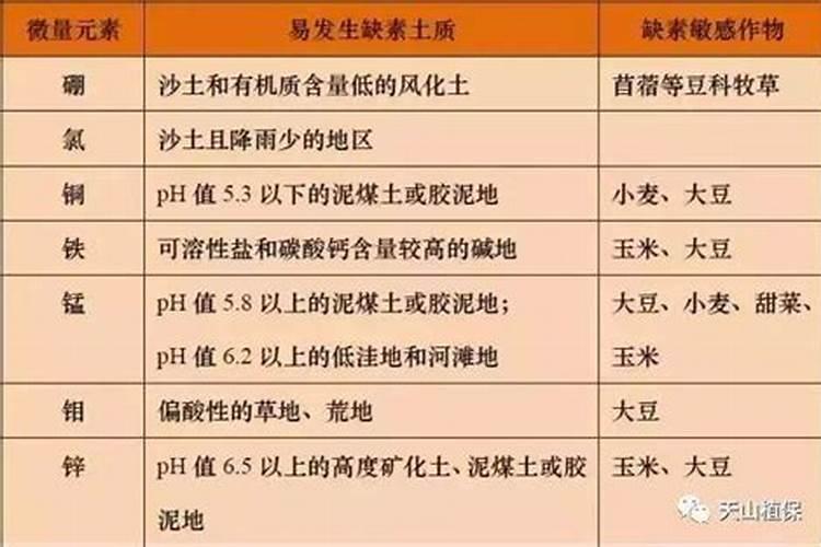 硼肥是什么肥料