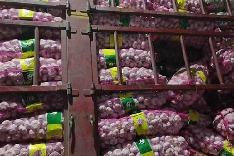 大蒜专用肥料 大蒜专用肥料有哪些呢