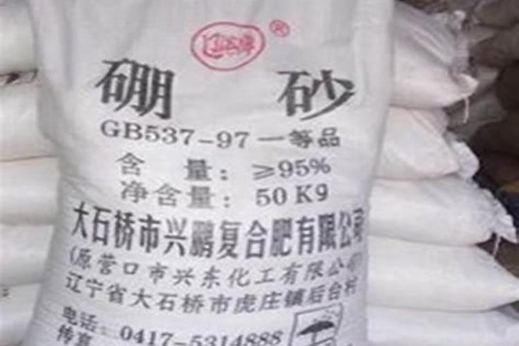 硼砂怎么做成硼砂水？