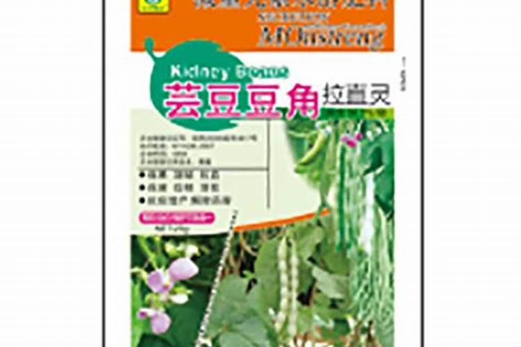 青岛市花耐冬施什么肥料