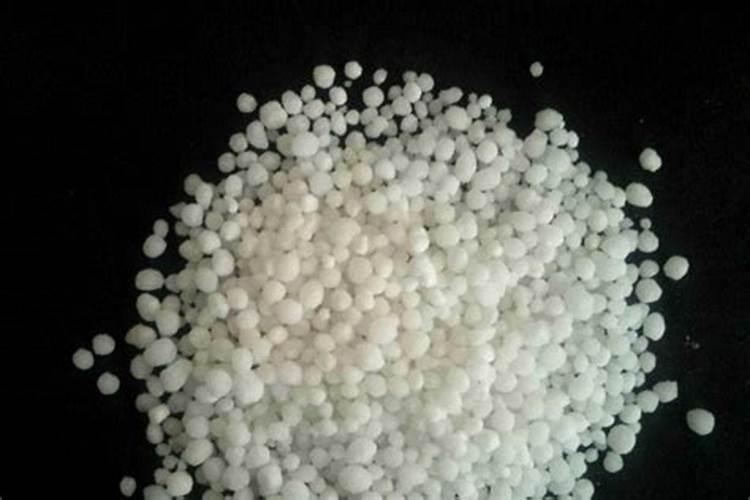 香菜最怕三种肥料