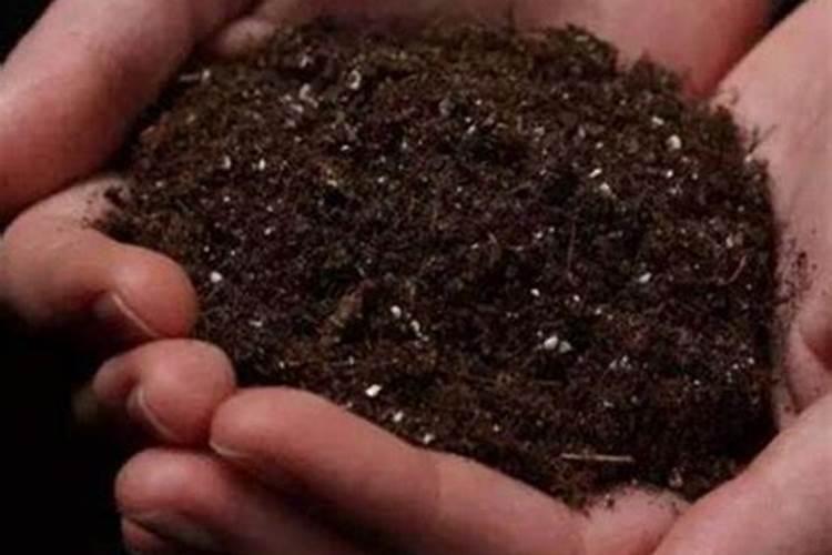 如何有效解除土壤对磷肥的固定作用