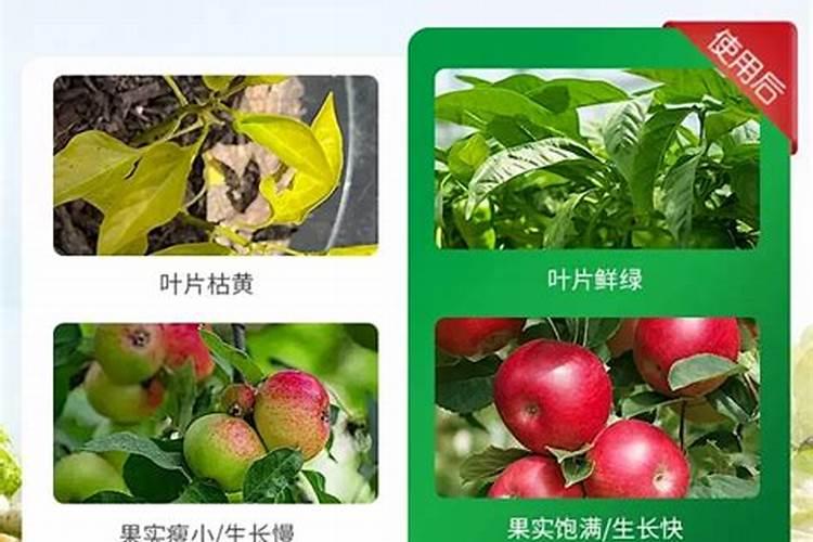 哪些肥料属于氮肥