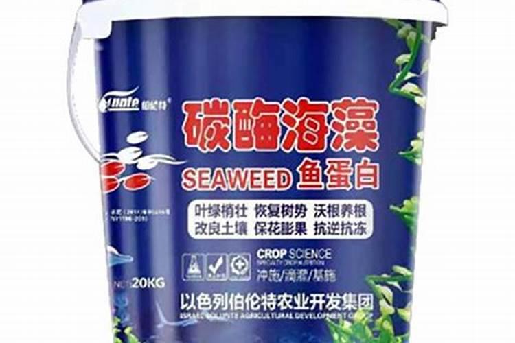 小番茄怎么判断有没打激素？