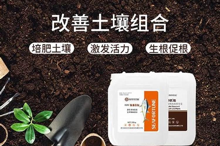 利洋福地安杀菌吗
