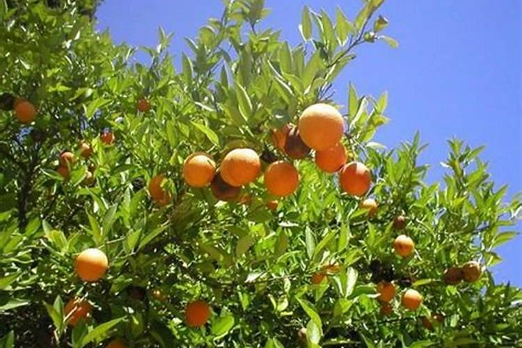 54含量的复合肥多少钱一吨