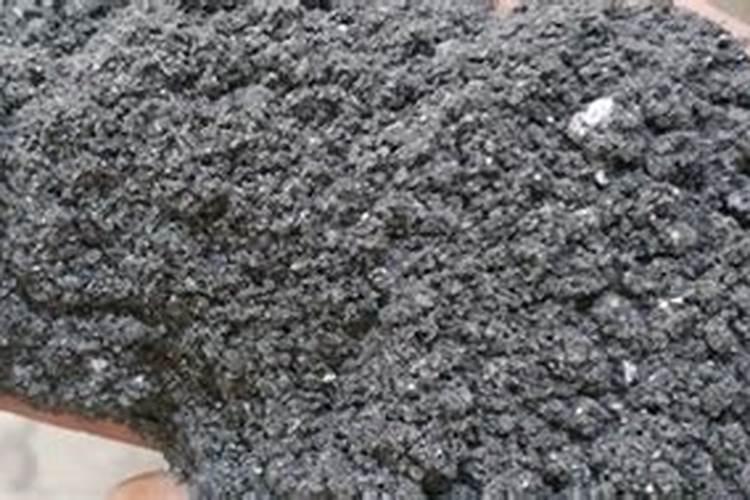 塑料布盖的花棚什么时候掀开