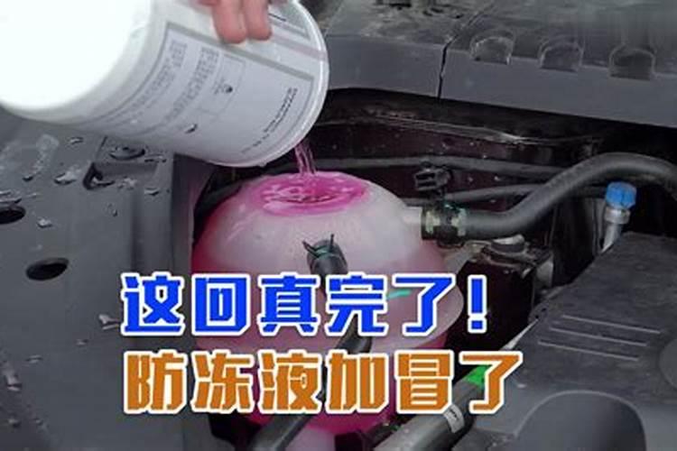 钾肥过量植物的表现图