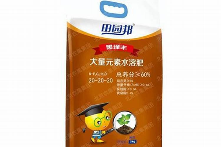 怎样防治根腐病？