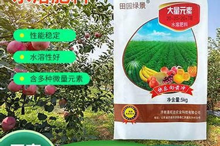 花盆中蓝莓施什么肥好