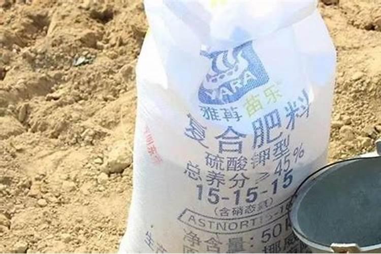 玉米肥低氯好还是中氯好