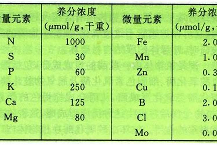 大量元素水溶肥料用法与用量