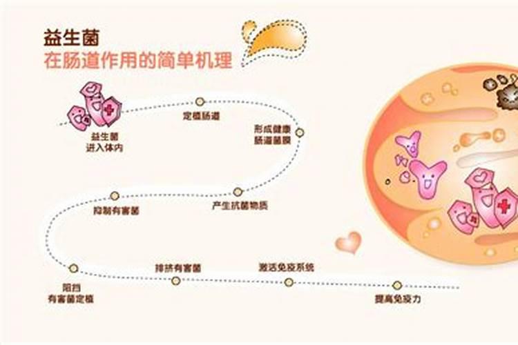 富硒驼奶粉和原始黄金益生菌驼奶粉的区别在哪里？