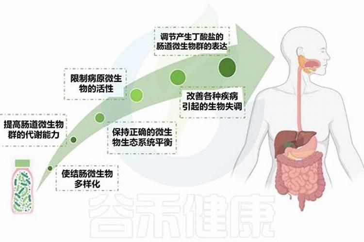 含有益生菌的食物排行榜前‏十名有哪些？