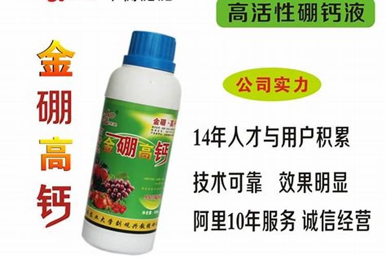 茄子什么时候栽最合适种植