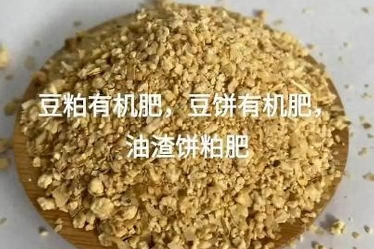 紫薇盆景的养护及注意事项