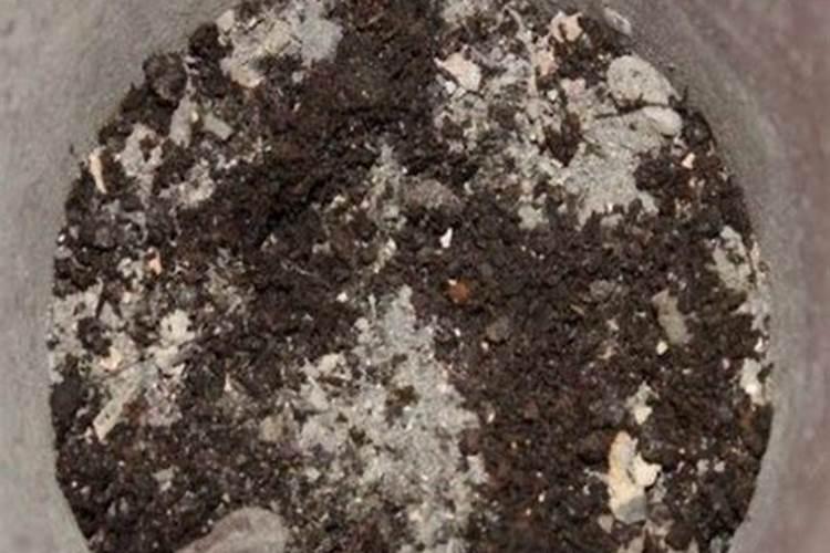 饼肥是氮肥还是钾肥