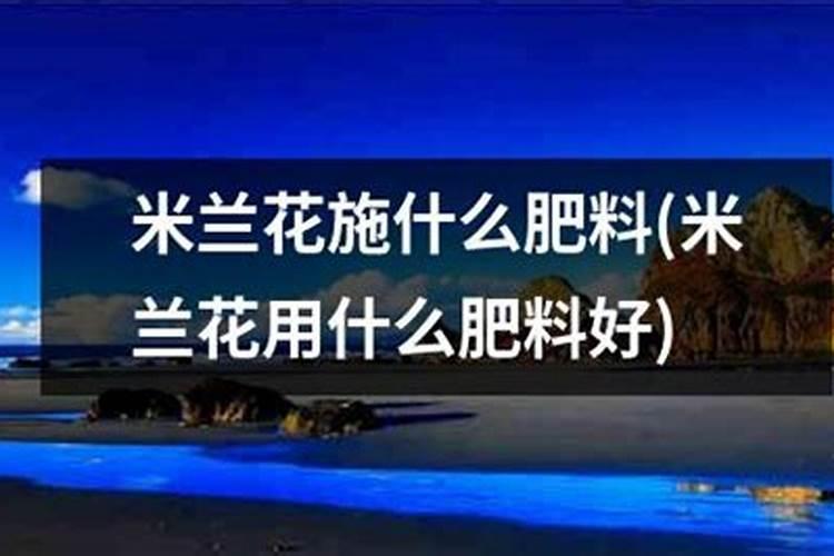 绿萝可以施复合肥吗,绿萝复合肥一盆施几粒(4粒/用水溶解)