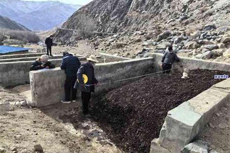 大棚葡萄大小粒严重怎么防治请觧答？