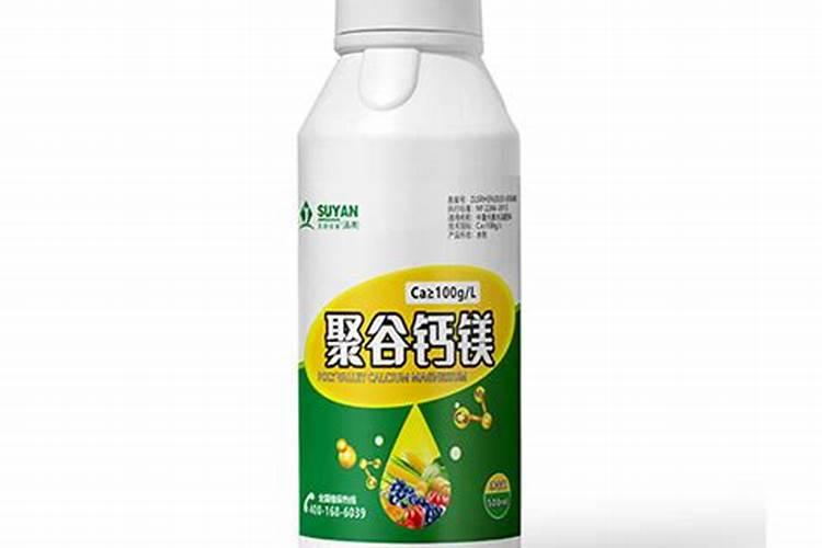 橘子苹果和西瓜怎样做水果拼盘