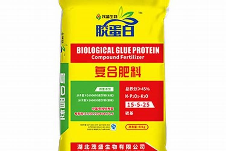 月季春天发芽施什么肥